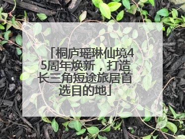 桐庐瑶琳仙境45周年焕新，打造长三角短途旅居首选目的地