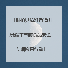 桐柏县清淮街道开展端午节前食品安全专项检查行动