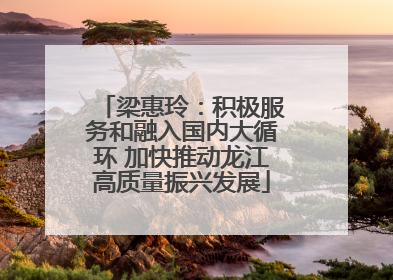 梁惠玲：积极服务和融入国内大循环 加快推动龙江高质量振兴发展