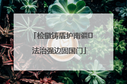 检徽铸盾护南疆 法治强边固国门