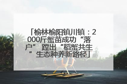 榆林榆阳镇川镇：2000斤蟹苗成功“落户” 蹚出“稻蟹共生”生态种养新路径