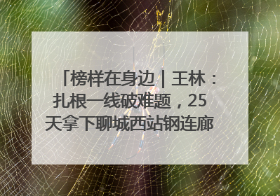 榜样在身边｜王林：扎根一线破难题，25天拿下聊城西站钢连廊“硬核”工程