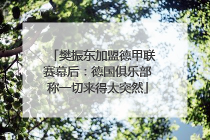 樊振东加盟德甲联赛幕后：德国俱乐部称一切来得太突然