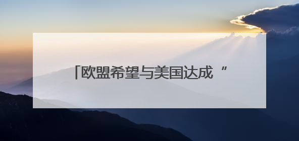 欧盟希望与美国达成“原则性协议”，未来贸易谈判有哪些难点？