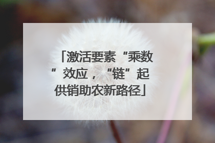 激活要素“乘数”效应，“链”起供销助农新路径