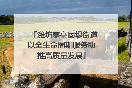 潍坊寒亭固堤街道以全生命周期服务助推高质量发展