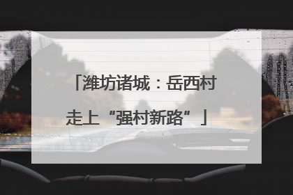 潍坊诸城：岳西村走上“强村新路”