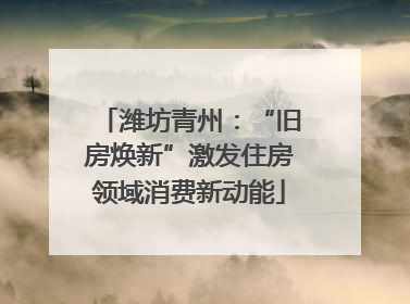 潍坊青州：“旧房焕新”激发住房领域消费新动能