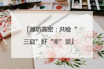 潍坊高密：共绘“三夏”好“丰”景