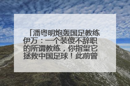 潘粤明炮轰国足教练伊万：一个装傻不辞职的所谓教练，你指望它拯救中国足球！此前曾多次发文评价国足