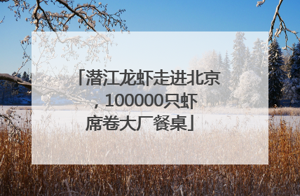 潜江龙虾走进北京,100000只虾席卷大厂餐桌