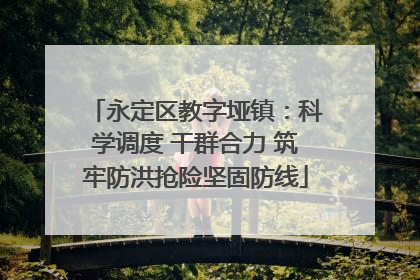 永定区教字垭镇：科学调度 干群合力 筑牢防洪抢险坚固防线