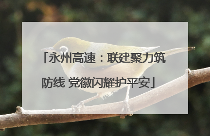 永州高速：联建聚力筑防线 党徽闪耀护平安