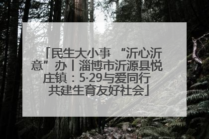 民生大小事 “沂心沂意”办丨淄博市沂源县悦庄镇：5·29与爱同行 共建生育友好社会
