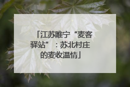 江苏睢宁“麦客驿站”：苏北村庄的麦收温情