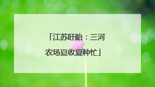 江苏盱眙：三河农场夏收夏种忙