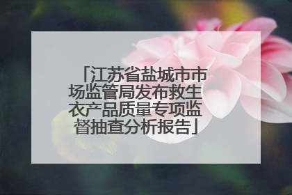 江苏省盐城市市场监管局发布救生衣产品质量专项监督抽查分析报告