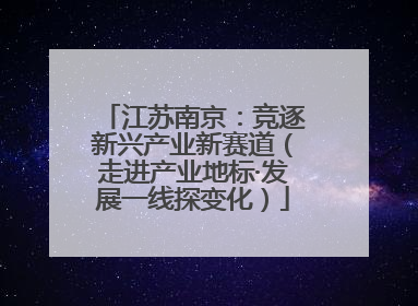 江苏南京：竞逐新兴产业新赛道（走进产业地标·发展一线探变化）