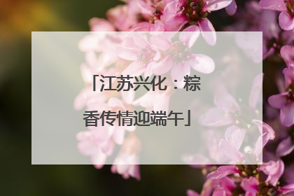江苏兴化：粽香传情迎端午