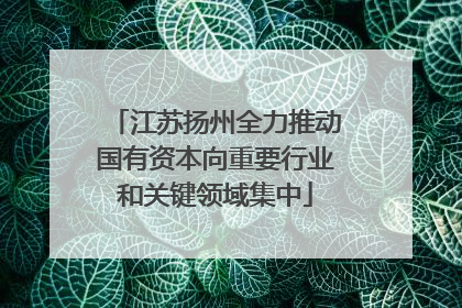 江苏扬州全力推动国有资本向重要行业和关键领域集中