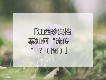 江西珍贵档案如何“流传”？（图）