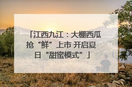 江西九江：大棚西瓜抢“鲜”上市 开启夏日“甜蜜模式”