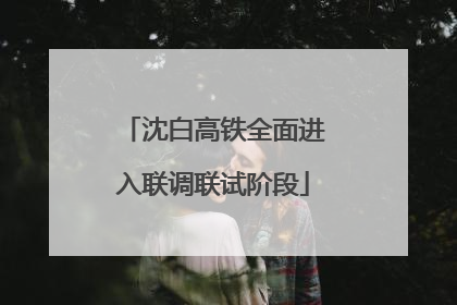 沈白高铁全面进入联调联试阶段