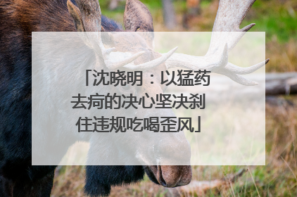 沈晓明：以猛药去疴的决心坚决刹住违规吃喝歪风