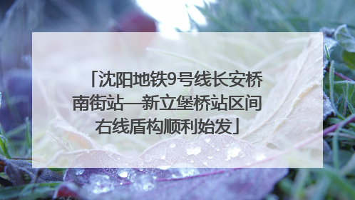 沈阳地铁9号线长安桥南街站—新立堡桥站区间右线盾构顺利始发