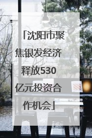 沈阳市聚焦银发经济释放530亿元投资合作机会