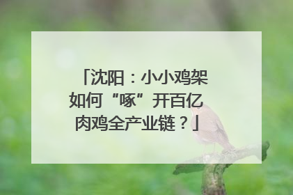 沈阳：小小鸡架如何“啄”开百亿肉鸡全产业链？