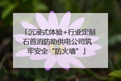 沉浸式体验+行业定制 石首消防助供电公司筑牢安全“防火墙”