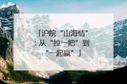 沪皖“山海情”：从“拉一把”到“一起赢”