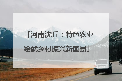 河南沈丘：特色农业绘就乡村振兴新图景