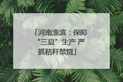 河南淮滨：保障“三夏”生产 严抓秸秆禁烧