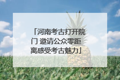 河南考古打开院门 邀请公众零距离感受考古魅力