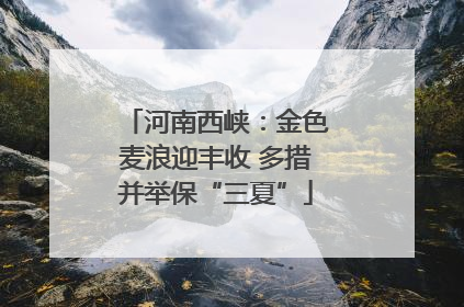 河南西峡：金色麦浪迎丰收 多措并举保“三夏”