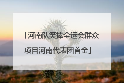 河南队笑捧全运会群众项目河南代表团首金
