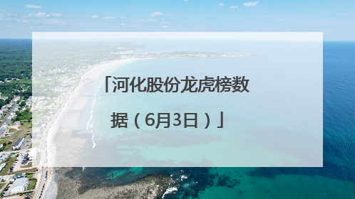 河化股份龙虎榜数据（6月3日）