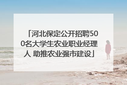 河北保定公开招聘500名大学生农业职业经理人 助推农业强市建设