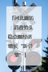 河北廊坊：消费势头稳点燃经济增长“新引擎”