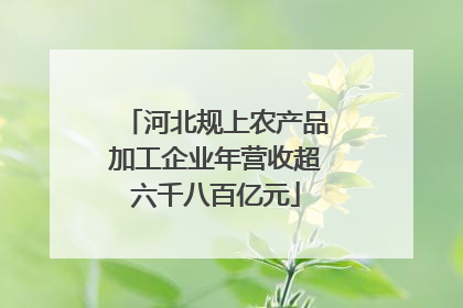 河北规上农产品加工企业年营收超六千八百亿元
