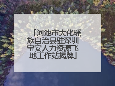 河池市大化瑶族自治县驻深圳宝安人力资源飞地工作站揭牌