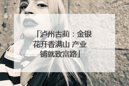 泸州古蔺：金银花开香满山 产业铺就致富路