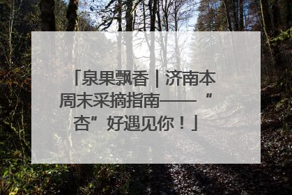 泉果飘香｜济南本周末采摘指南——“杏”好遇见你！