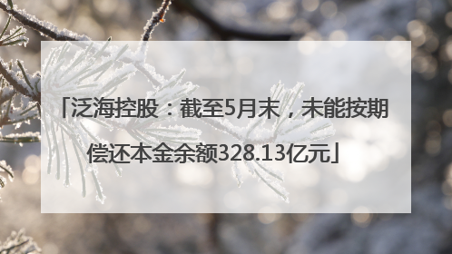 泛海控股：截至5月末，未能按期偿还本金余额328.13亿元