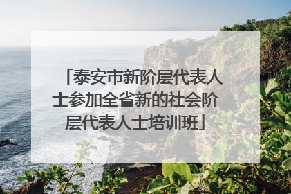 泰安市新阶层代表人士参加全省新的社会阶层代表人士培训班