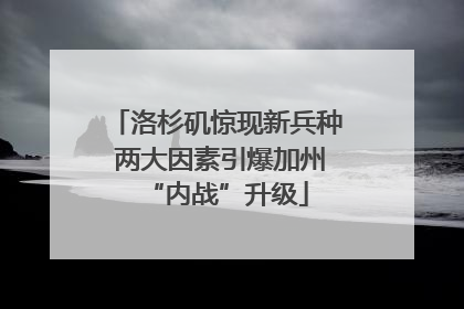 洛杉矶惊现新兵种 两大因素引爆加州“内战”升级