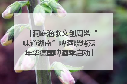 洞庭渔歌文创周暨“味道湖南”啤酒烧烤嘉年华德国啤酒季启动