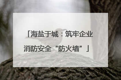 海盐于城：筑牢企业消防安全“防火墙”